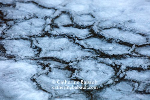 Ice floating in a river, Strathcona Park, Vancouver Island, British Columbia, Canada